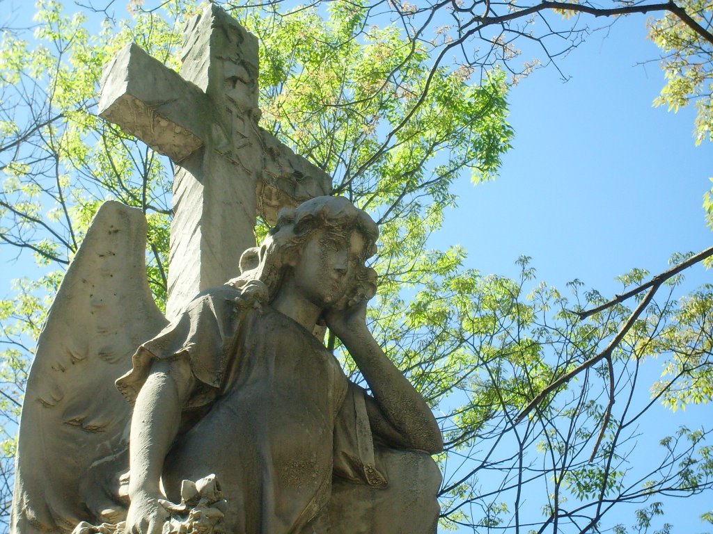 Estátua no Cemitério da Consolação - zona oeste de São Paulo by Yuri Alexandre