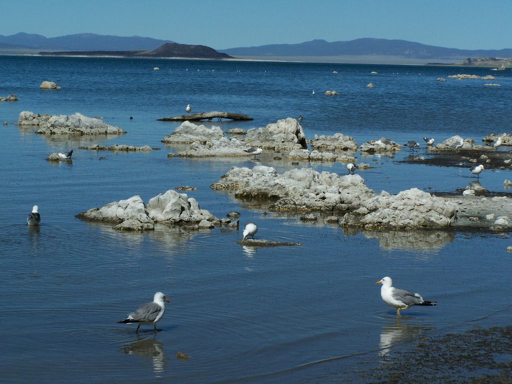 * Mono Lake * by Quechua