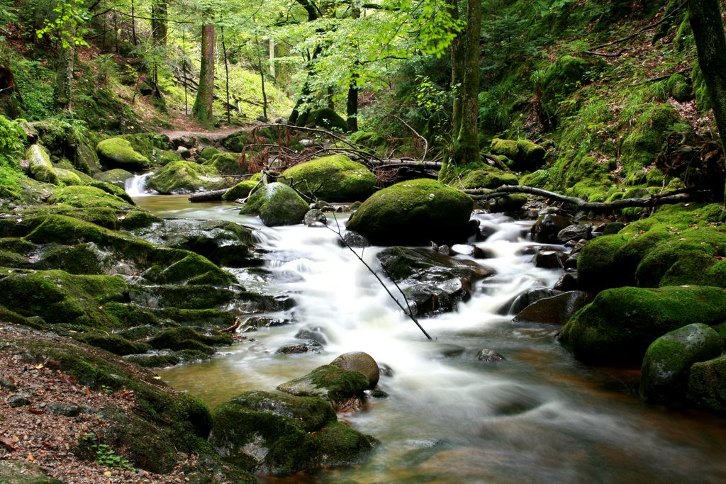 Zum Geroldsauer Wasserfall by roman walder