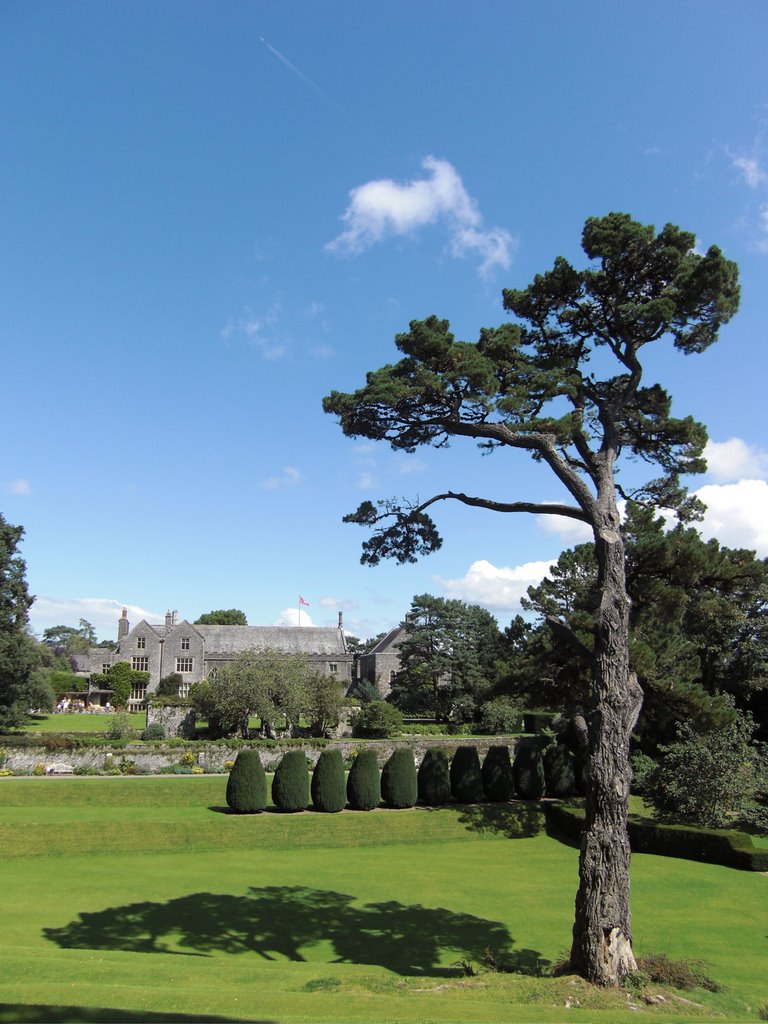 Dartington Gardens by Mr. Bloom