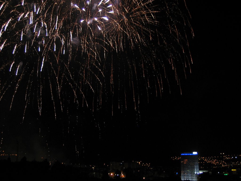 Fuegos artificiales by roxercita