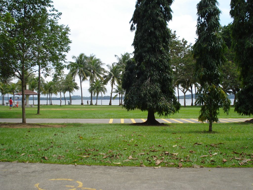 Morning Pasir Ris Park by Hui Pui Ji