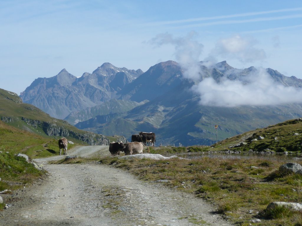 Septimerpass (rätoromanisch Pass da Sett), Passo del Settimo, 2310 m by Qwesy