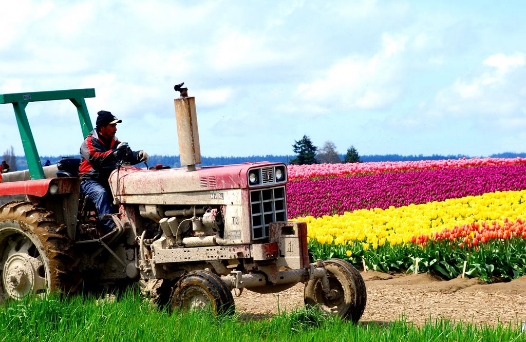 Man at work by rueyang