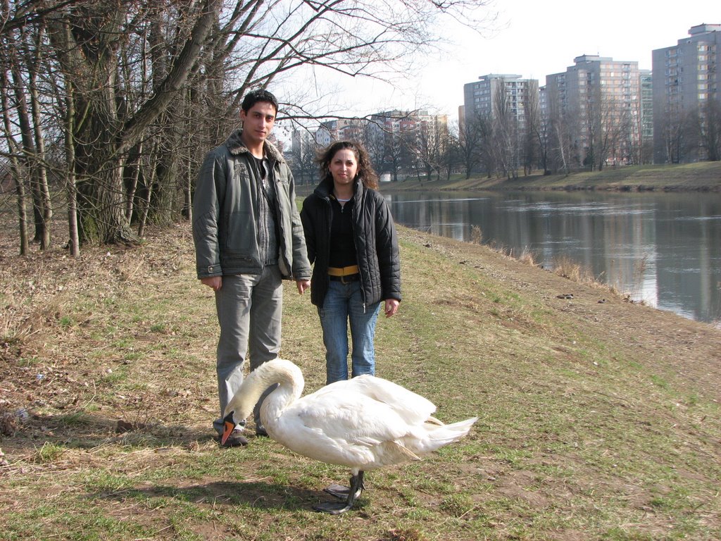 Ceska republica pardubice town by lucienpeychev