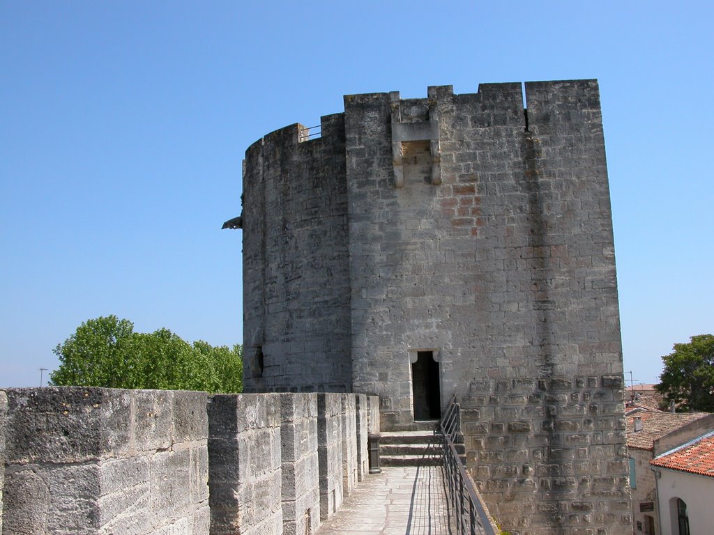 Remparts d'Aigues Mortes by Jean HIBLOT