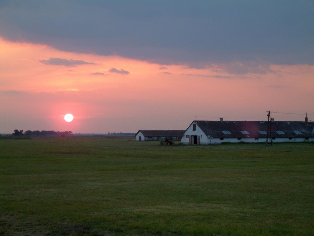 Naplemente a hodályoknál - Sunset at folds by Bárdos László