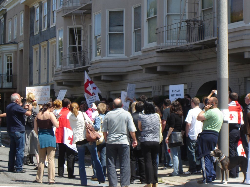 Georgian Protest by wnweber