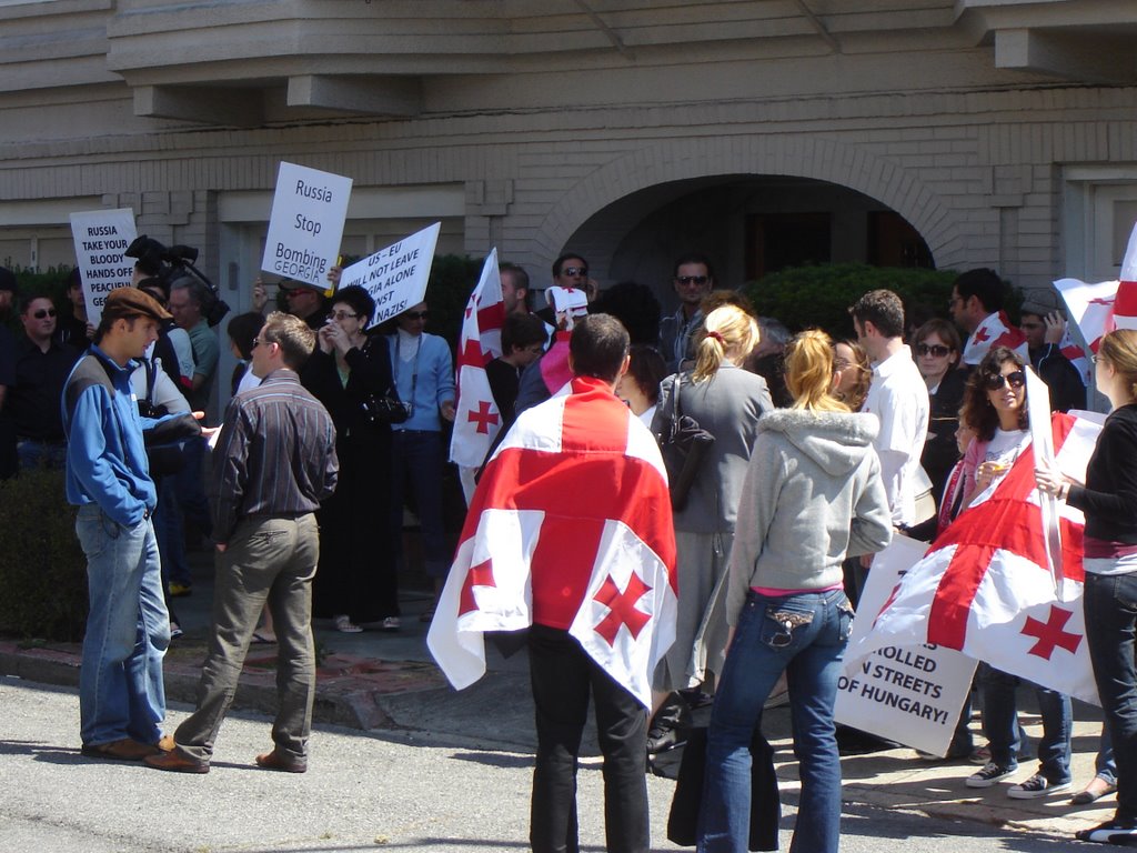 Georgian Protest by wnweber