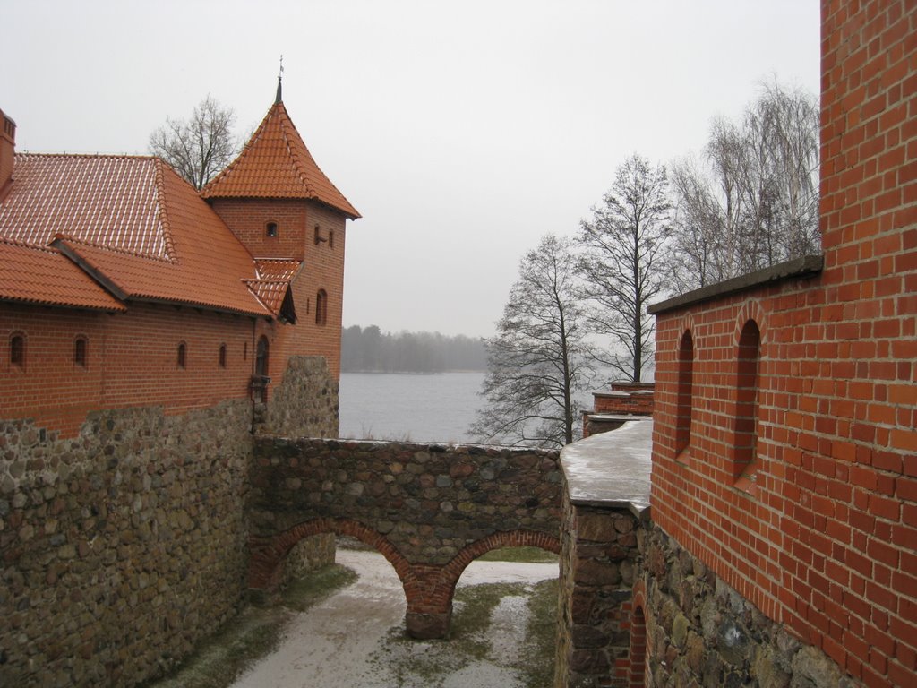 Trakų pilis žiemą by cikute