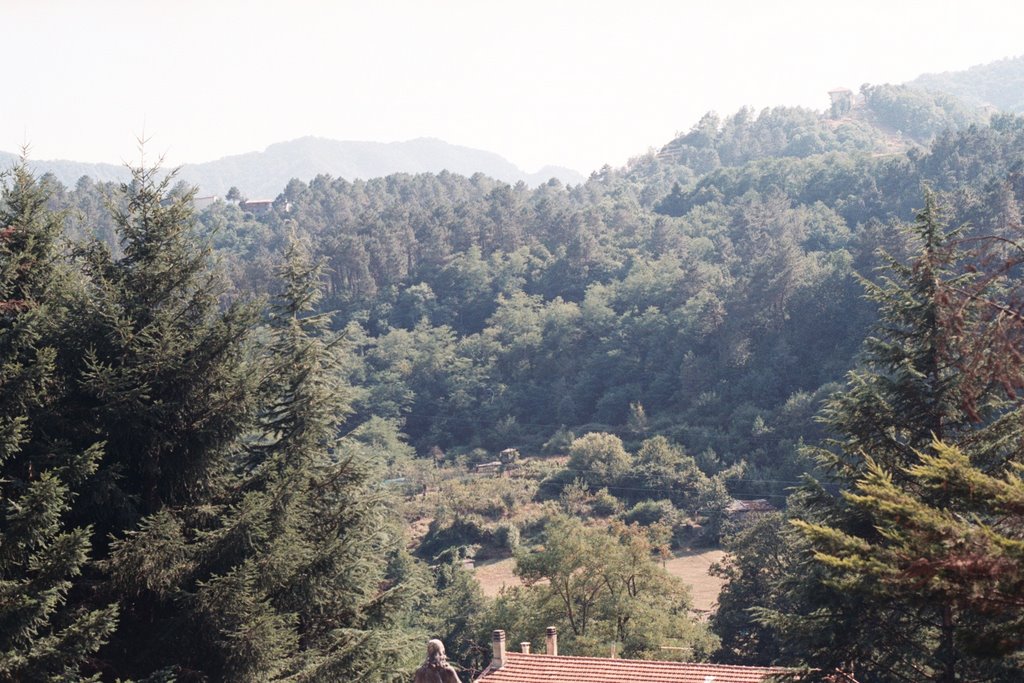 Los bosques de Terrarossa by giovanni chile