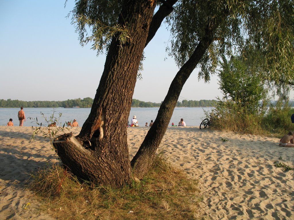 Obolons'kyi district, Kiev, Ukraine by Oboloner