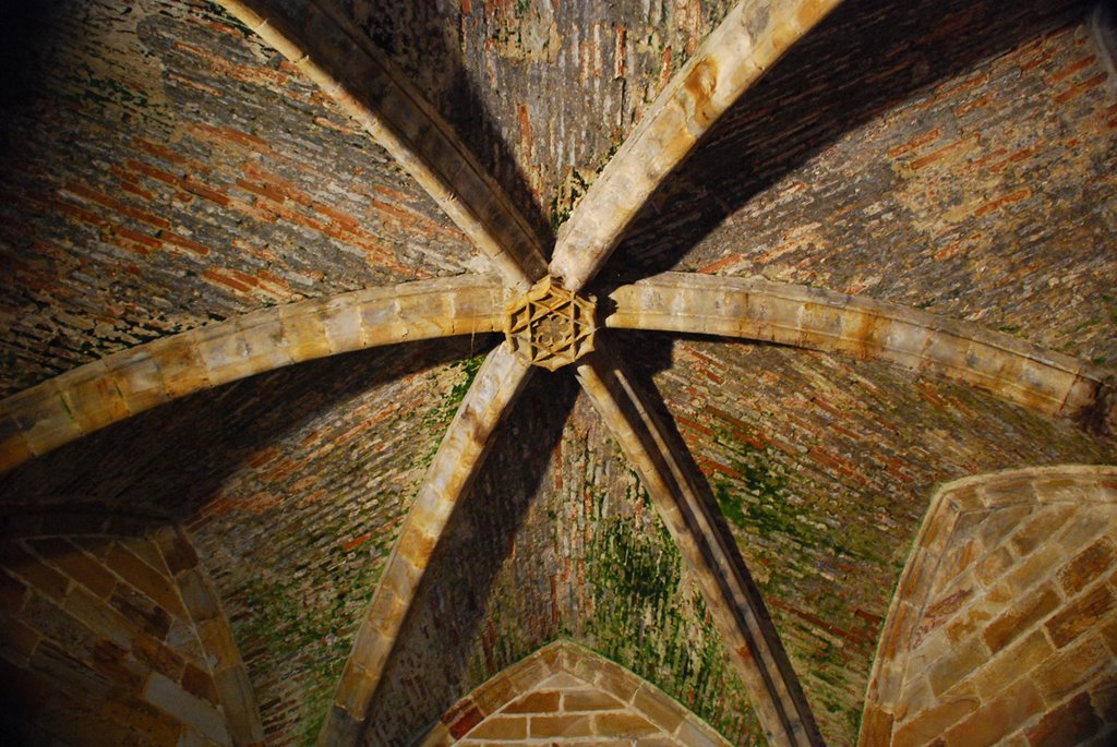 Techo abovedado en la torre redonda, Castillo de Foix by cperalta