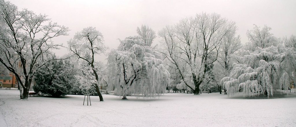 Poděbrady park v zimě by Čermák Jaroslav