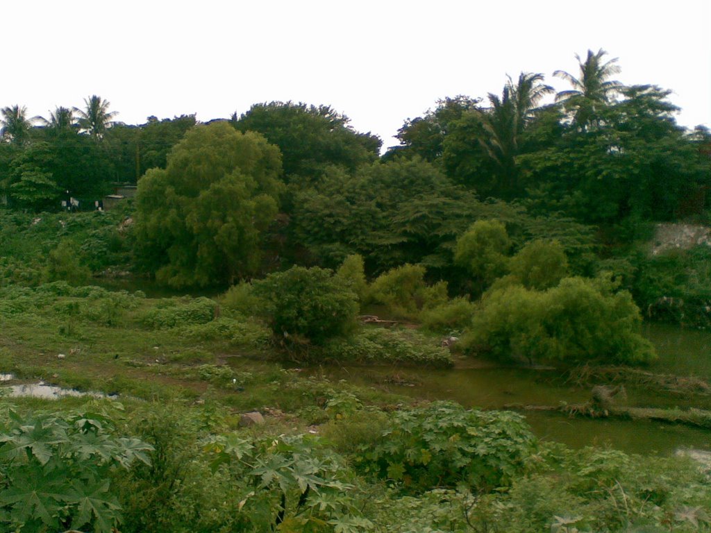 Rio de los Perros y su vegetacion by Johan BarLop