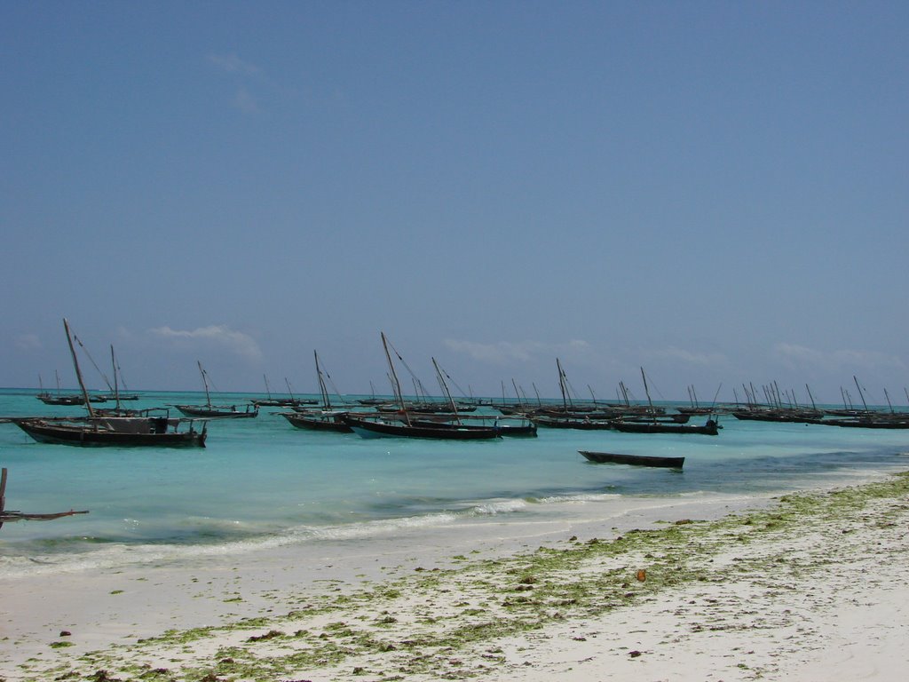 Nungui -- Zanzibar -- Tanzania (Africa) by caracor