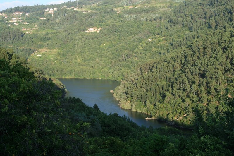 Douro em Alpendurada by OrlandoCastiço