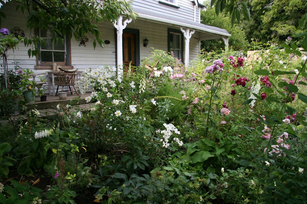 Old home Akoroa - perennial border by ChrisHewittNZ