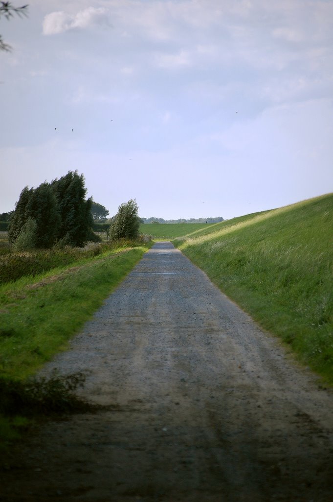 Platte Bank, a road near Krabbendijke, Netherlands by © Andre Speek