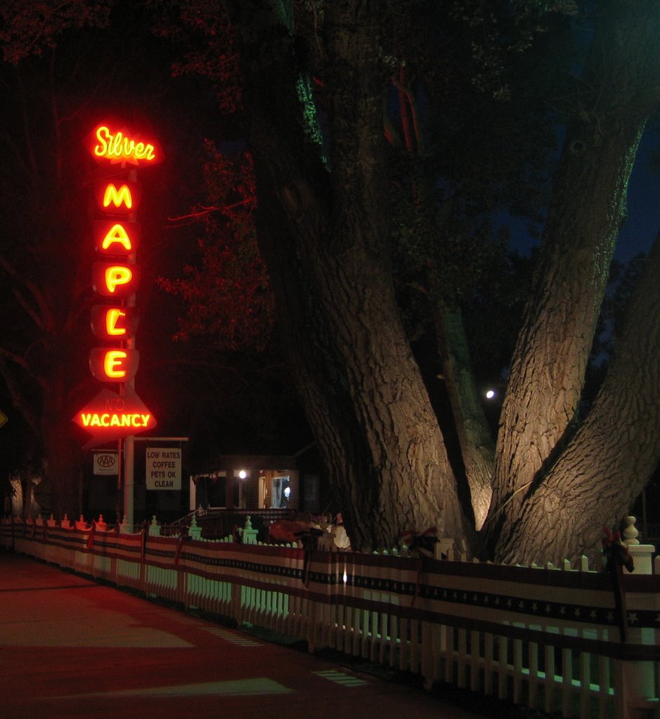 Silver Maple Neon Madness by brassy5000