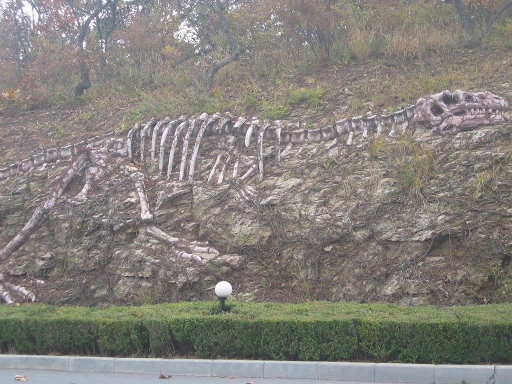 T rex Bones made from concrete by John Canepa