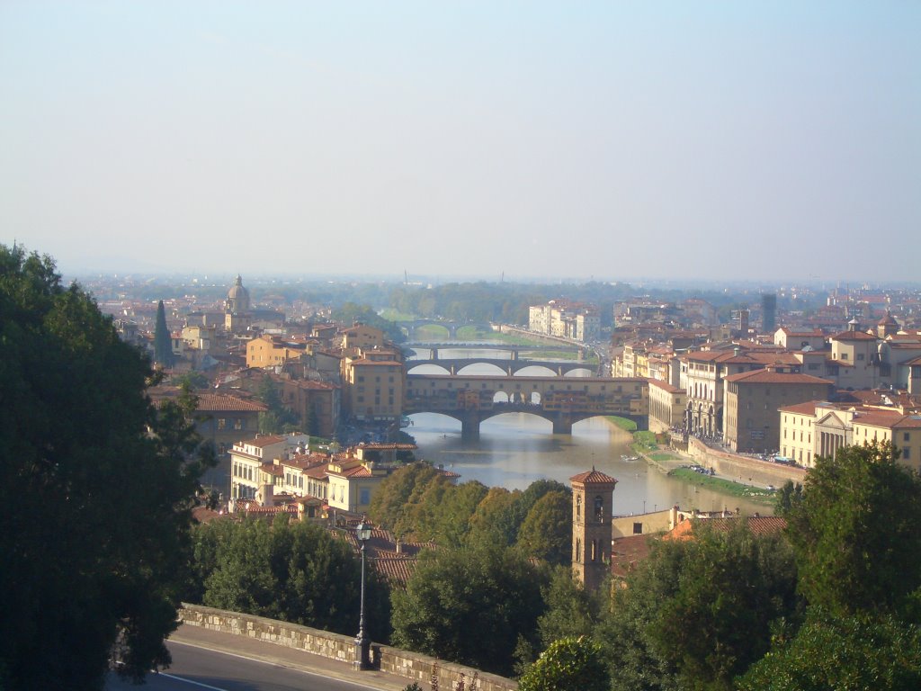 Firenze Panorama by marco7511