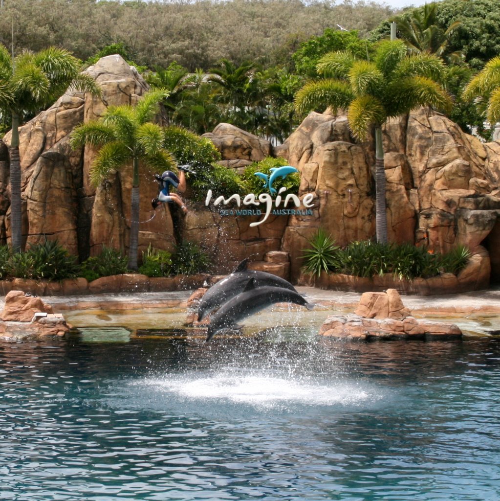 Seaworld Dolphins by Monarti