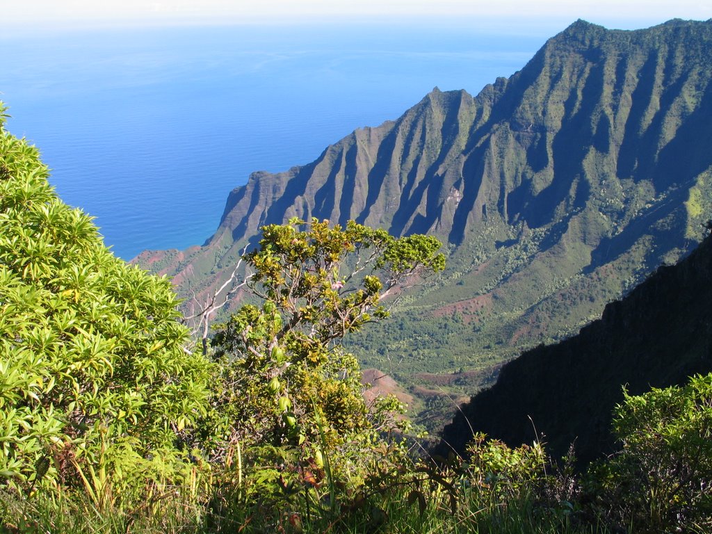 Kapaa, HI, USA by Robert Eckersley