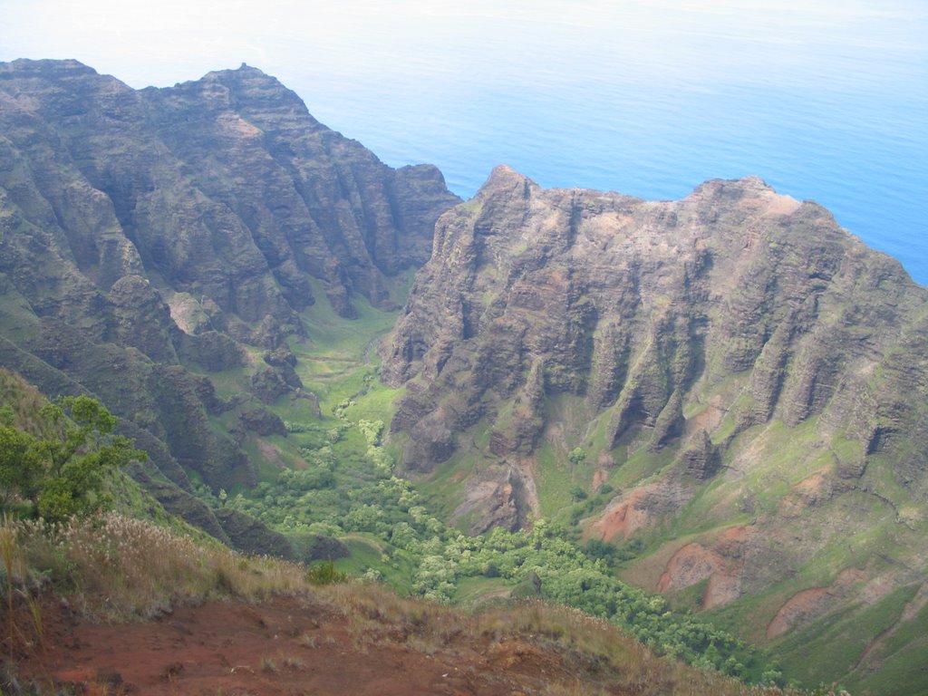 Kapaa, HI, USA by Robert Eckersley