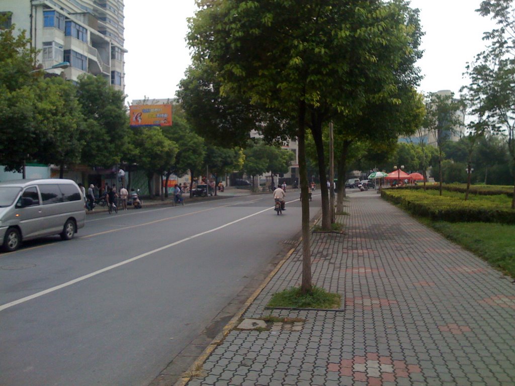 环城北路（嘉兴二院附近）North Huancheng Rd near Jiaxing 2nd Hospital by 吴腾宇·Tengyu Wu·Bill Steven Carl