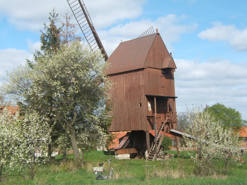 Anderbeck Bockwindmühle am Lindenberg ( Schachtberg) by +wewe+