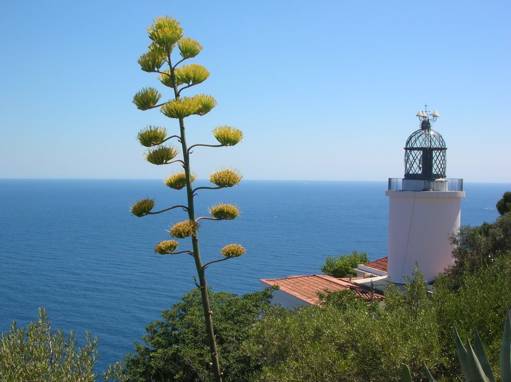 Faro (cabo de San Sebastian - Llafranc) by marcobel