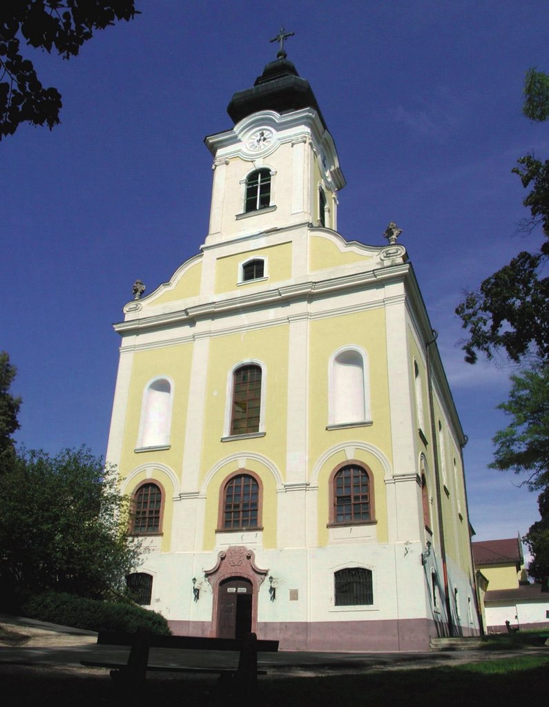 Máriabesnyői Kegytemplom Nagyboldogasszony Bazilika (Basilica Minor) by nicktaylor