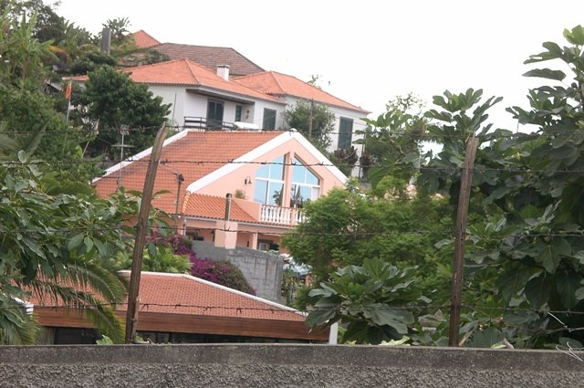 A casa da Rosa no Funchal by Maria Beatriz