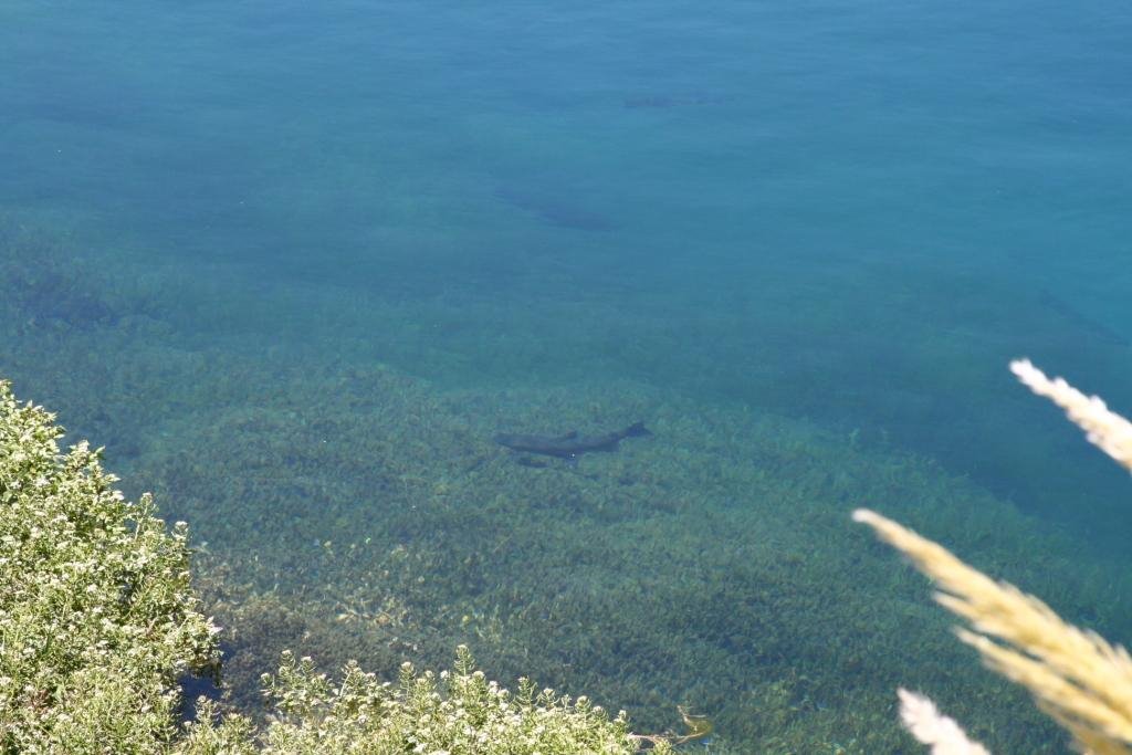 AGUAS DE LA LAGUNA DE LA NIÑA ENCANTADA, MALARGUE, MENDOZA by Cesar Brischetto