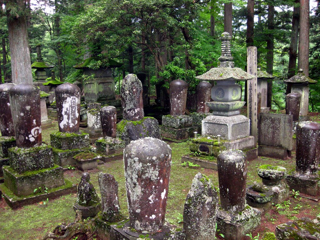 Cemetery for monks, Daiya River, Kanmangafuchi Abyss, Nikko, Japan by Richard Ryer