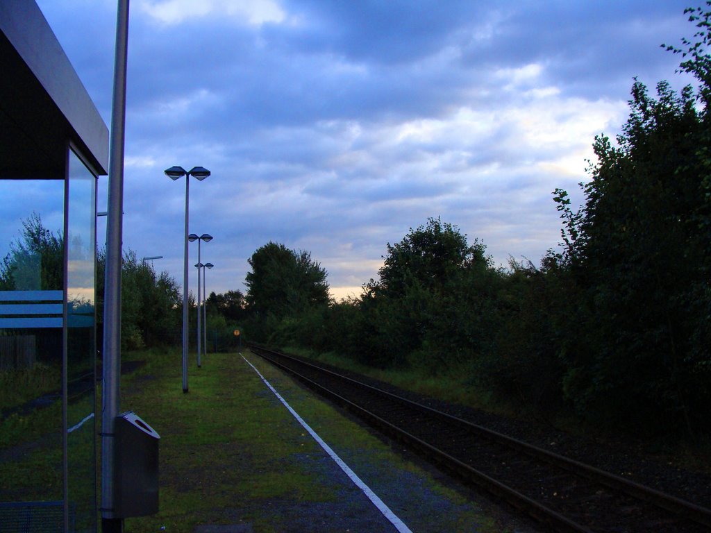 Gleis am Lembecker Bahnhof by dbLotos