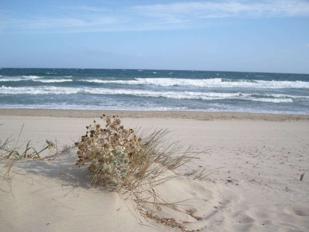 Spiaggia vicino a Li Nibari by povanna