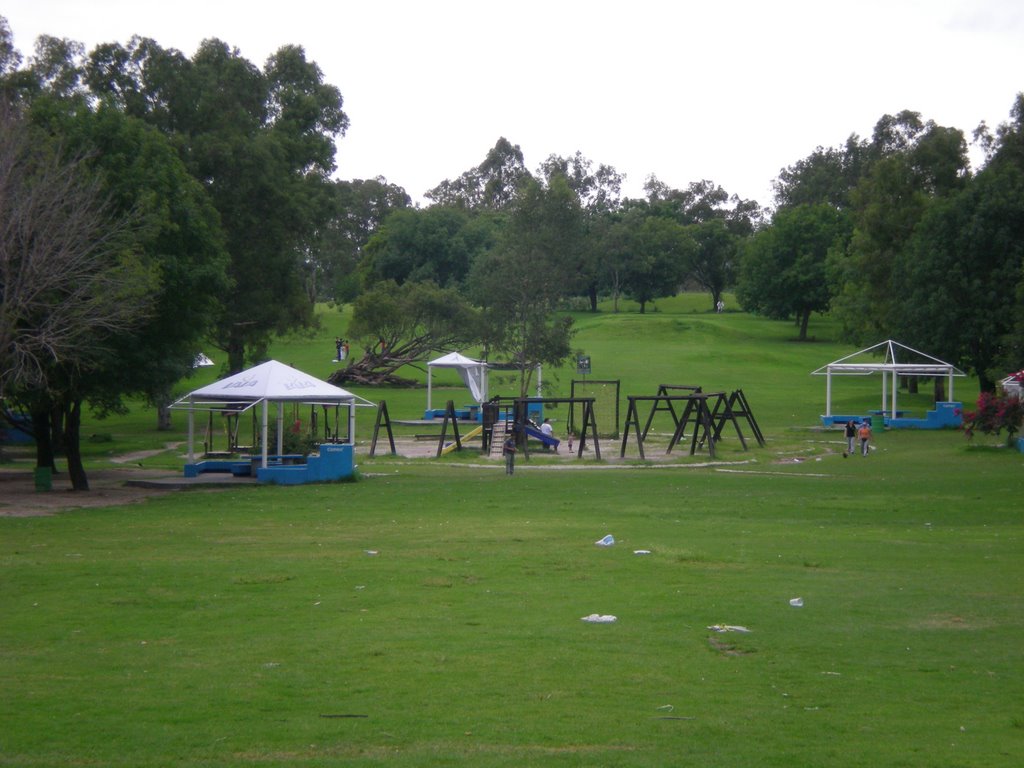 Arbol caido y area de juegos, Parque Metropolitano by Heikko