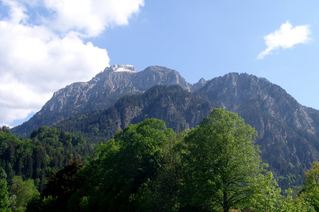 Hohenschwangau by Foto Fitti