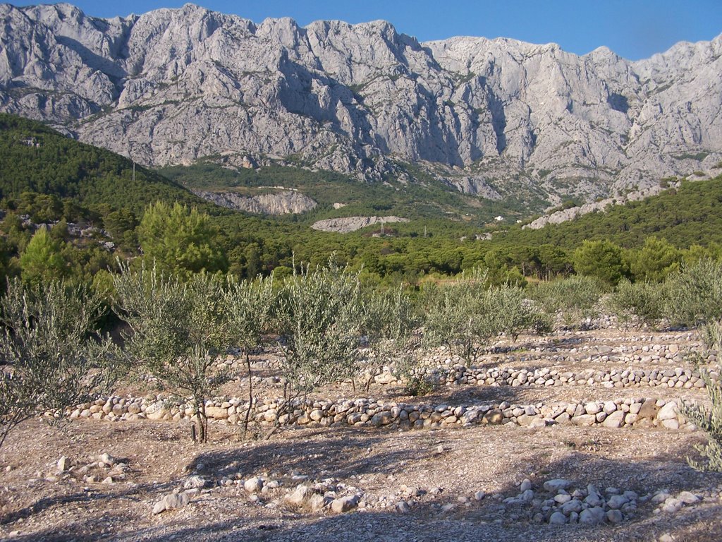 Near Makraska, mountain view from the beach. by gracjan7