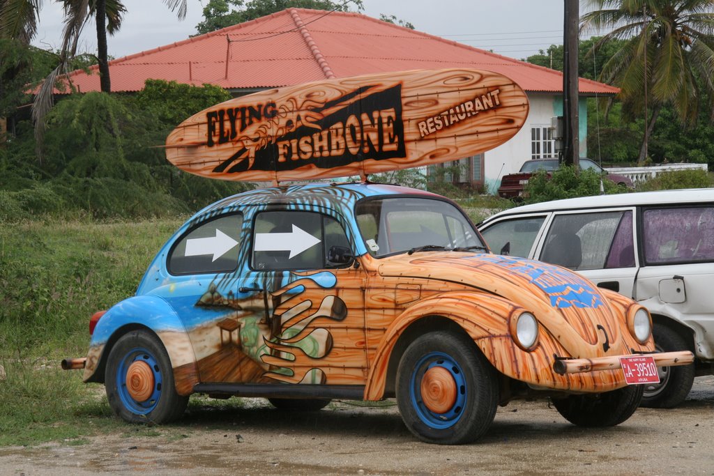 Flying Fishbone Beetle by fshines