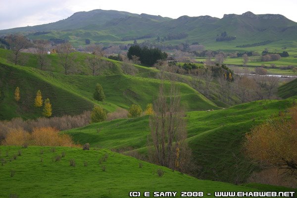 Coutry side - Hawkes Bay - New Zealand by Ehab Samy