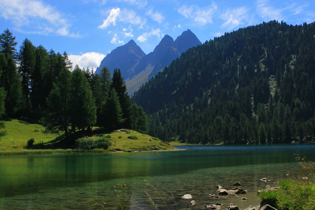 Albula valley, Lai da Palpuogna, summer morning by Manuel Hulliger