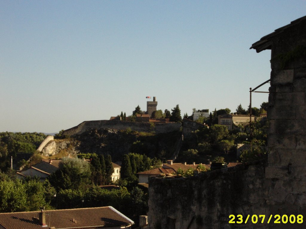 Vue de Villeneuve-lès-Avignon by thewalloon