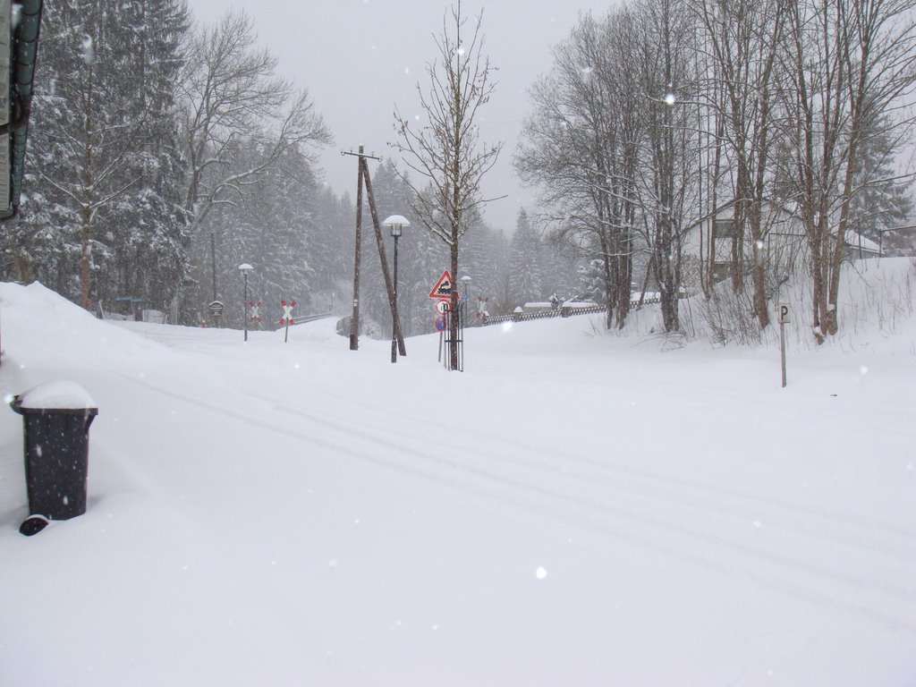 Road completely covered by snow in March'08 by ashish saxena