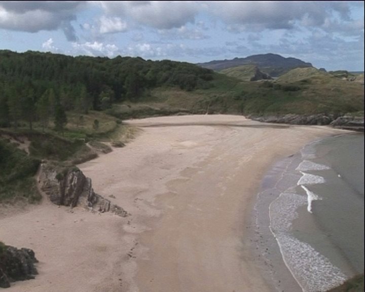 Monk's beach2, ards forest park by gerard mc grory