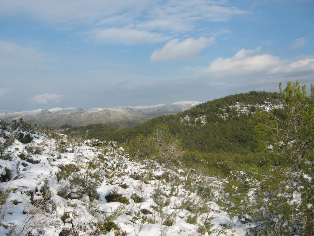 El Garraf nevat, camí del Gafarró a la Creu de Sant Isidre by joan miquel