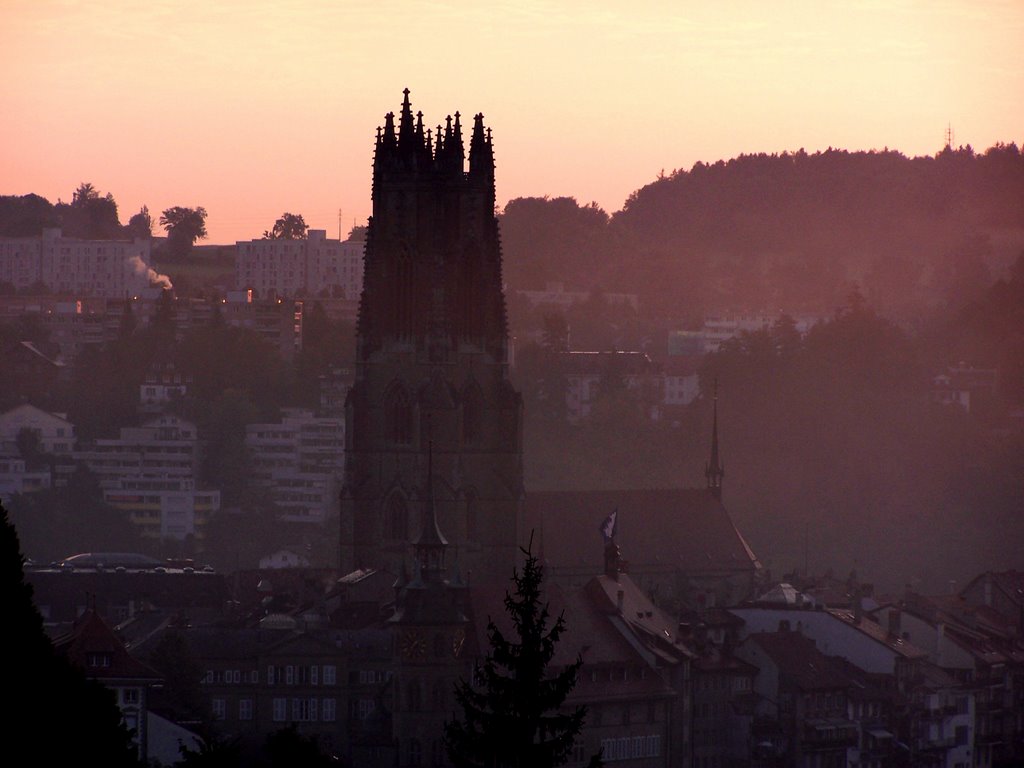 Catedral de Friburgo al amanecer by H. Ariz