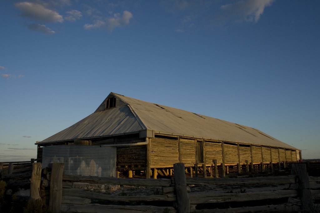 Mungo shearing shed by Bill M